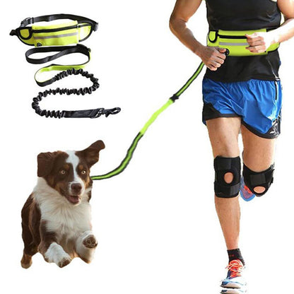 Hands-Free Dog Leash and Training Belt with Shock-Absorbing Bungee for Large Dogs Up to 180 lbs, Featuring Phone Pocket and Water Bottle Holder