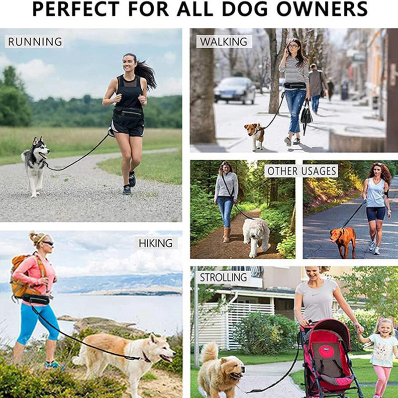 Hands-Free Dog Leash and Training Belt with Shock-Absorbing Bungee for Large Dogs Up to 180 lbs, Featuring Phone Pocket and Water Bottle Holder