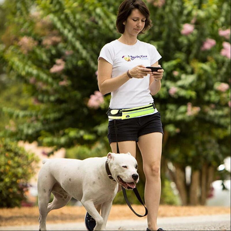 Hands-Free Dog Leash and Training Belt with Shock-Absorbing Bungee for Large Dogs Up to 180 lbs, Featuring Phone Pocket and Water Bottle Holder